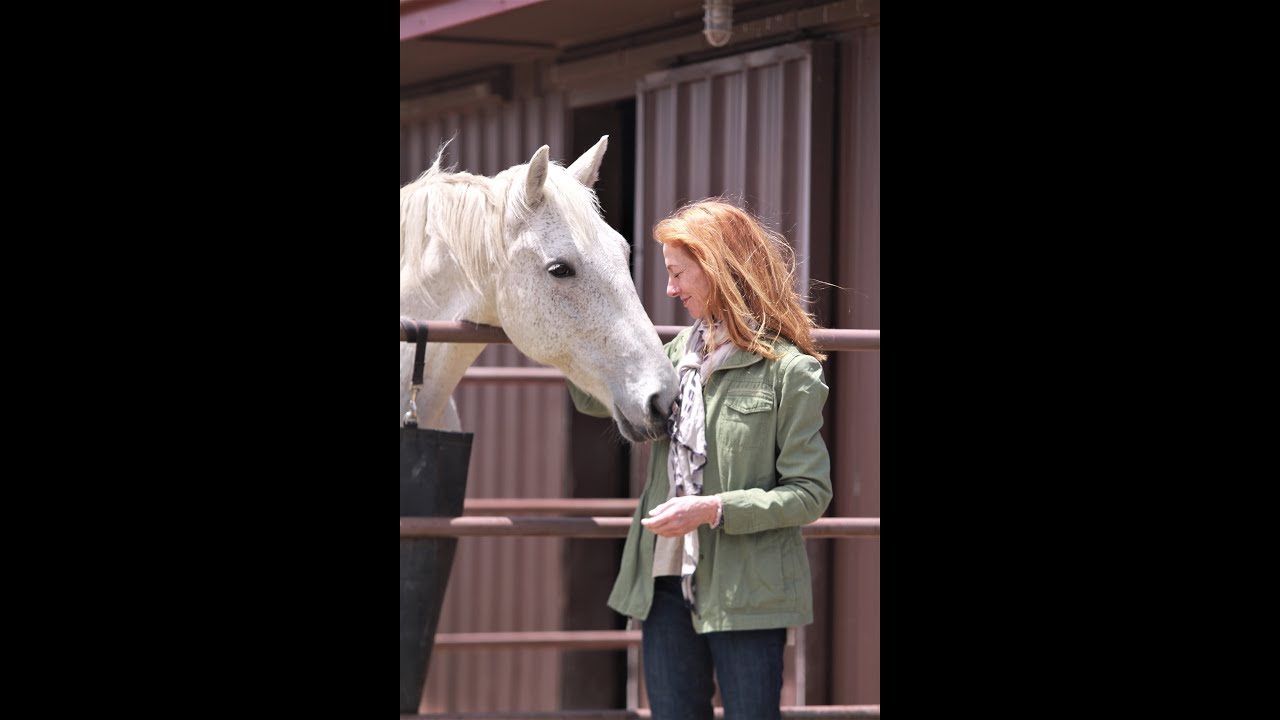 Unparalleled Horse Whispering 101 ~ ROTH style