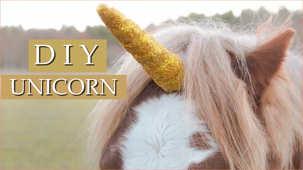DIY UNICORN BROWBAND - Corne de Licorne