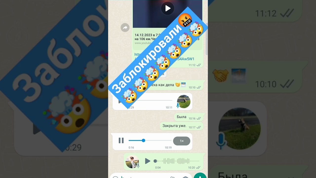 2-часть | разговор по WhatsApp&nbsp;#tiktok #shorts