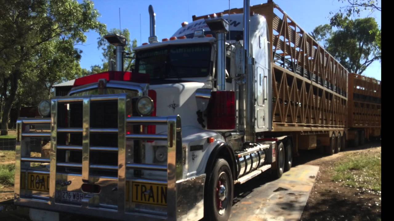 DeHennin Livestock Transport