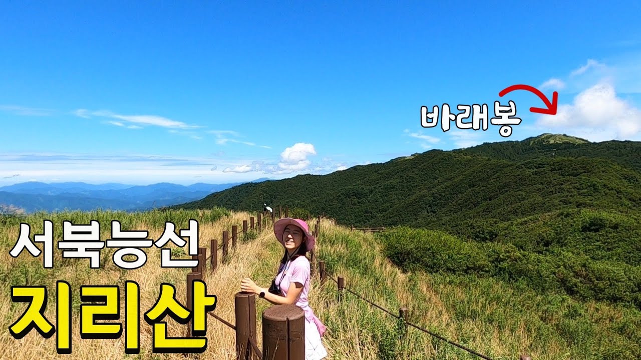 #지리산 #서북능선 #100대명산 지리산 서북능선 등산코스, 천왕봉만 가지 마세요! 당일치기 가능한 곳 추천