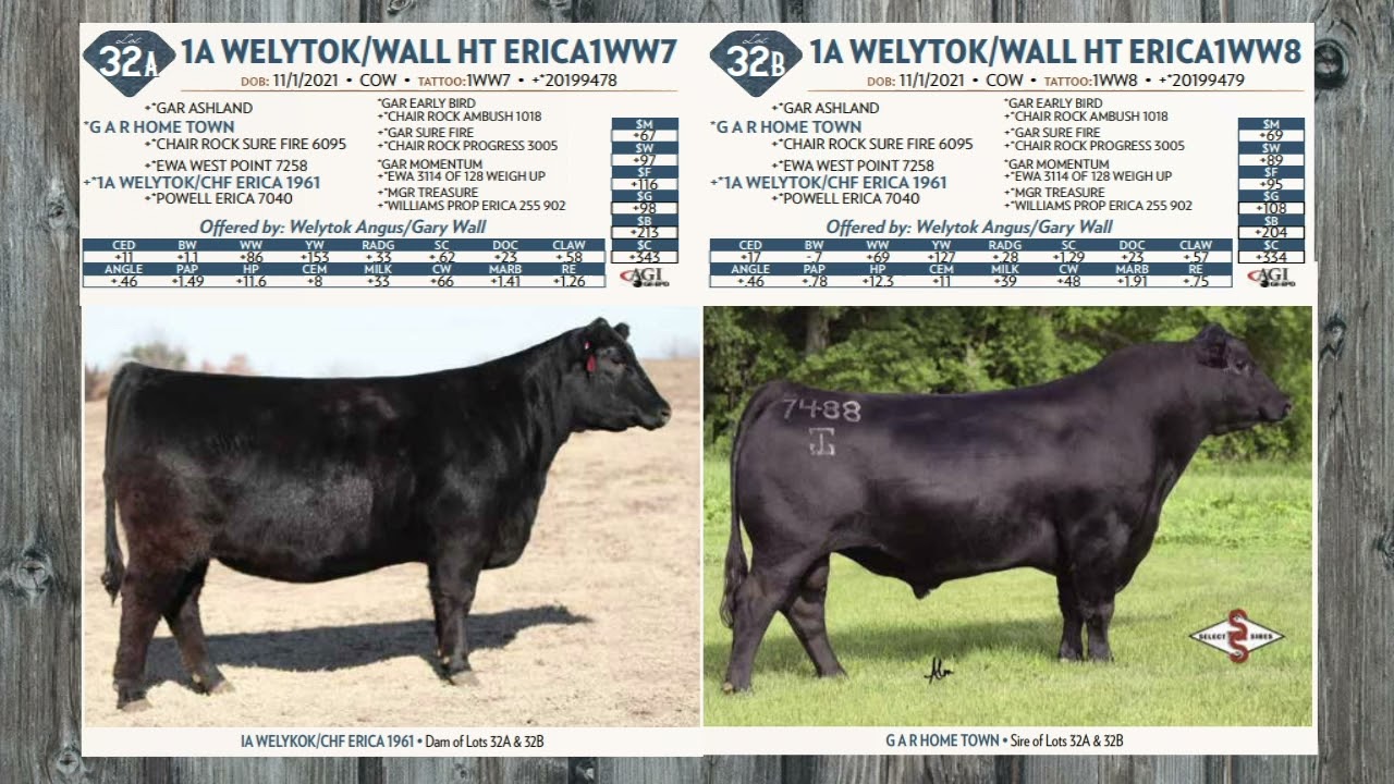 Lot 32AB