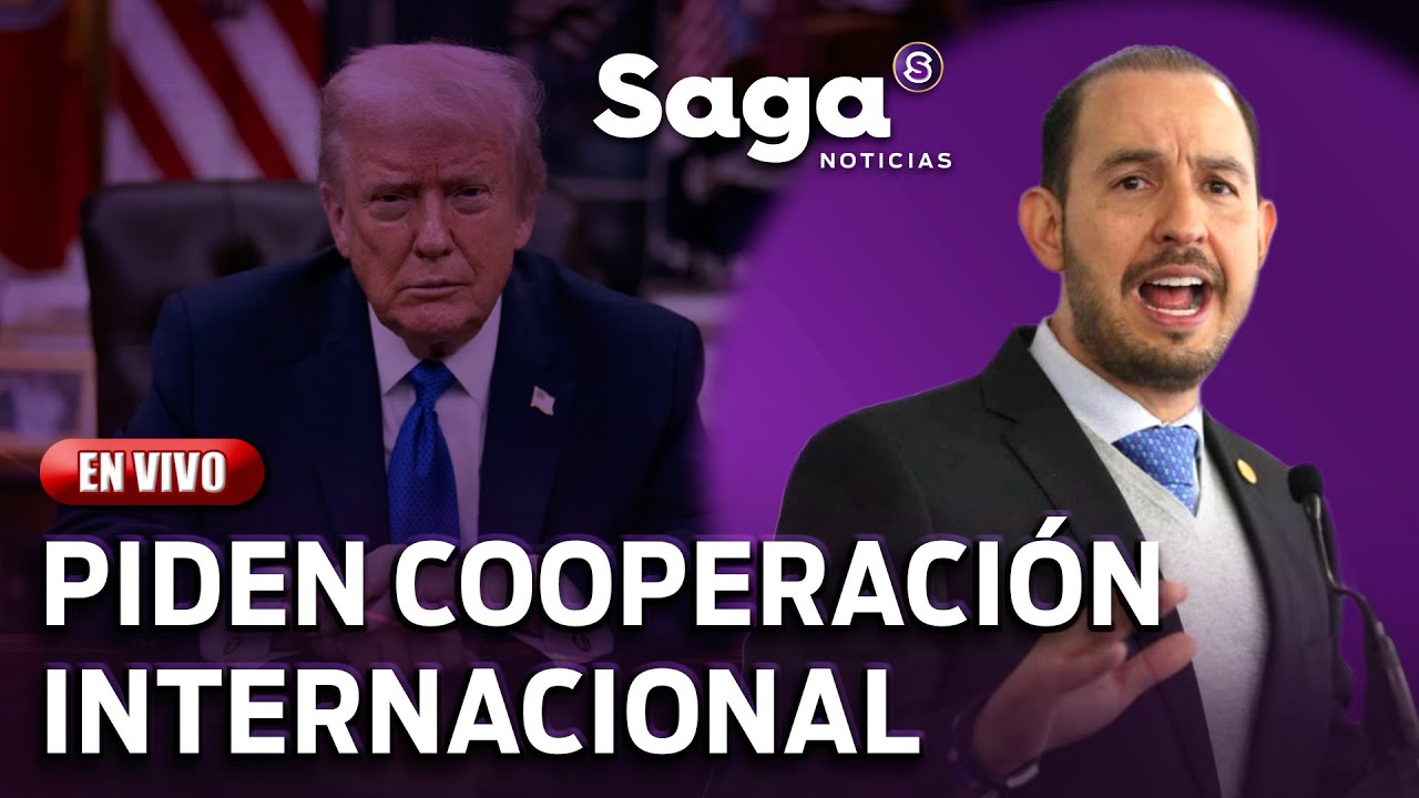 Miembros de la oposición piden ayuda internacional para combatir al crimen organizado |SAGA NOTICIAS