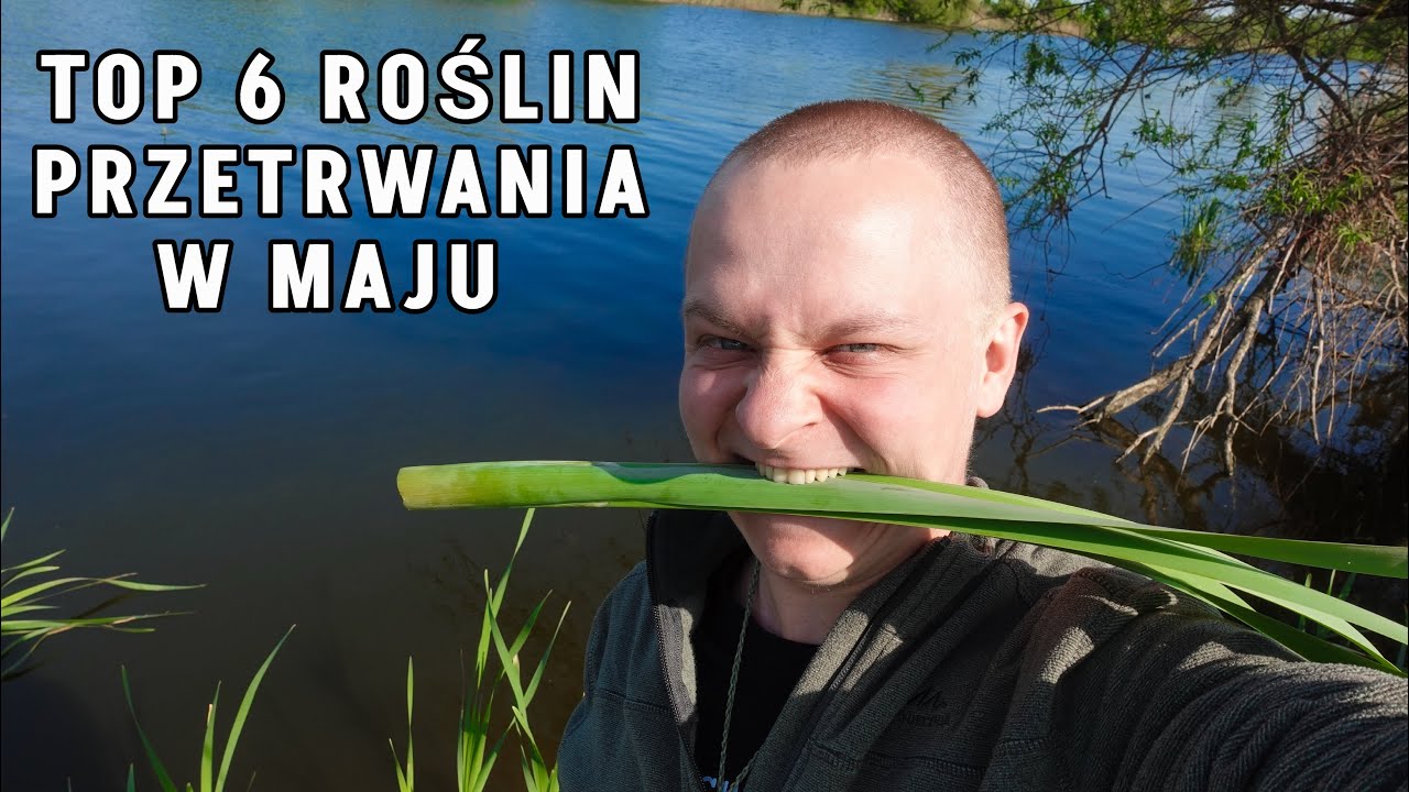 TOP 6 - ziół PRZETRWANIA w MAJU