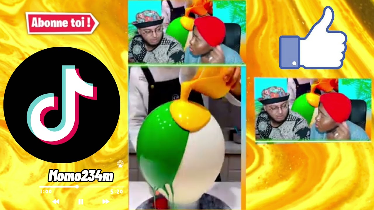 COMPILATIONS DES TIKTOK DE SISMA ET PRISKA #1