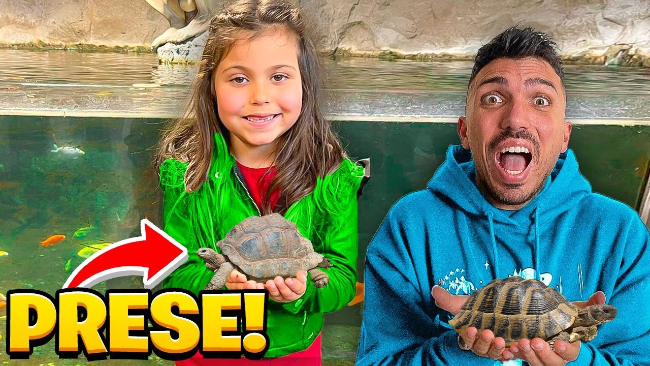 VLOG! COMPRIAMO 2 TARTARUGHE NUOVE AL NEGOZIO DI ANIMALI! ILARY HA DECISO DI CHIAMARLI NINNA E MATTI