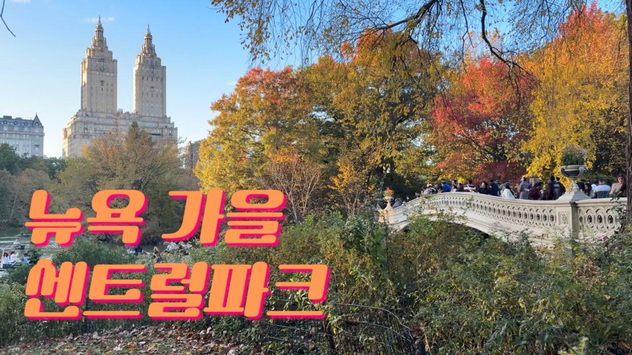 미국 브이로그🇺🇸 뉴욕 센트럴파크의 가을 | 공동육아 재밌어 | 이유식 전쟁 | 샐러드김밥 대참사