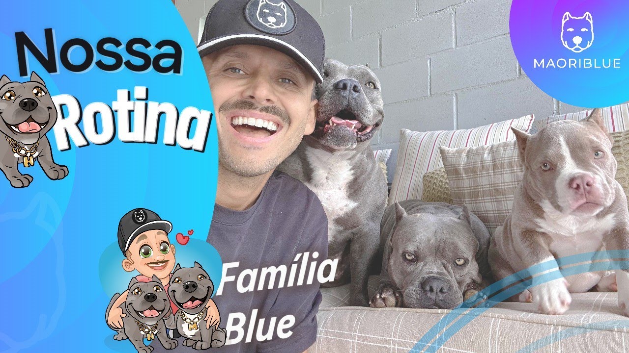 Nossa Rotina American Bully - Maori, Nuhri e Marê - Conheça da Família Blue
