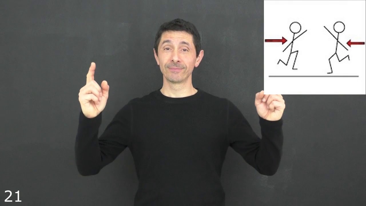 MAELS - LSF A1 - les proformes des personnes