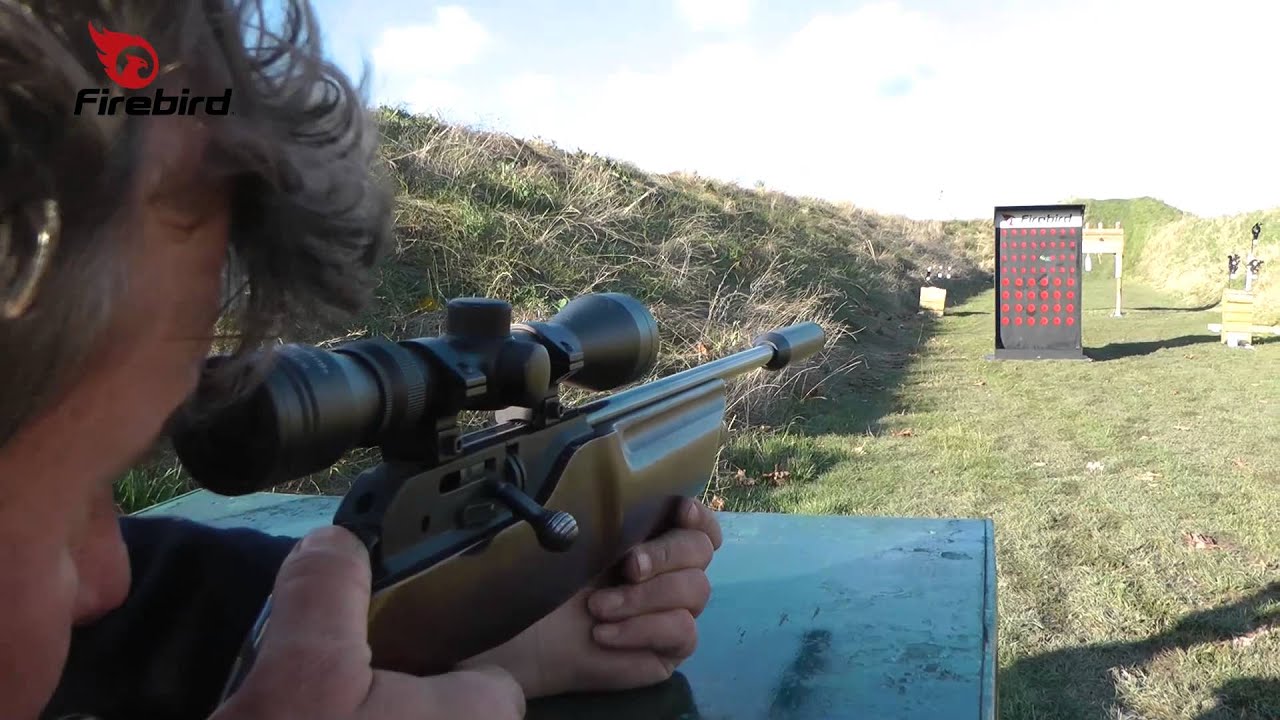 Firebird Exploding Airflash Targets for Air Rifles