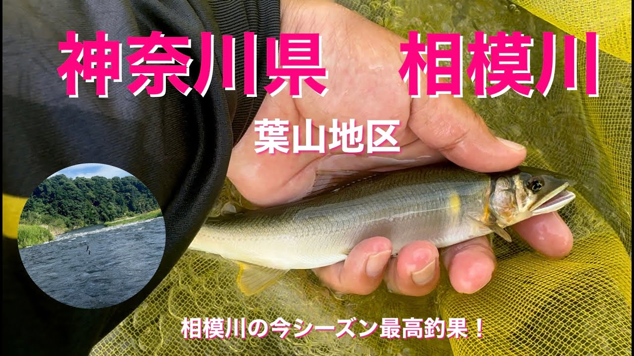 2025.7.27　神奈川県相模川
