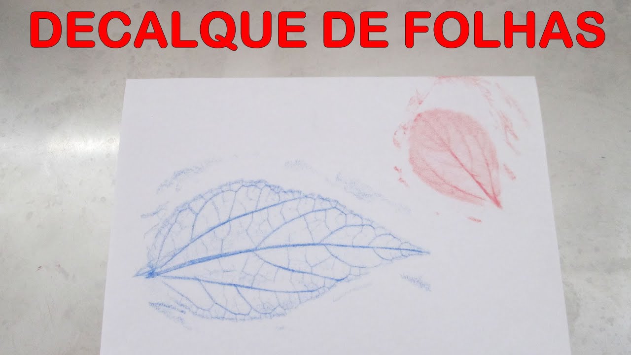 EDUCADOR - ATIVIDADES PARA CRIANÇAS #08 - DECALQUE DE FOLHAS