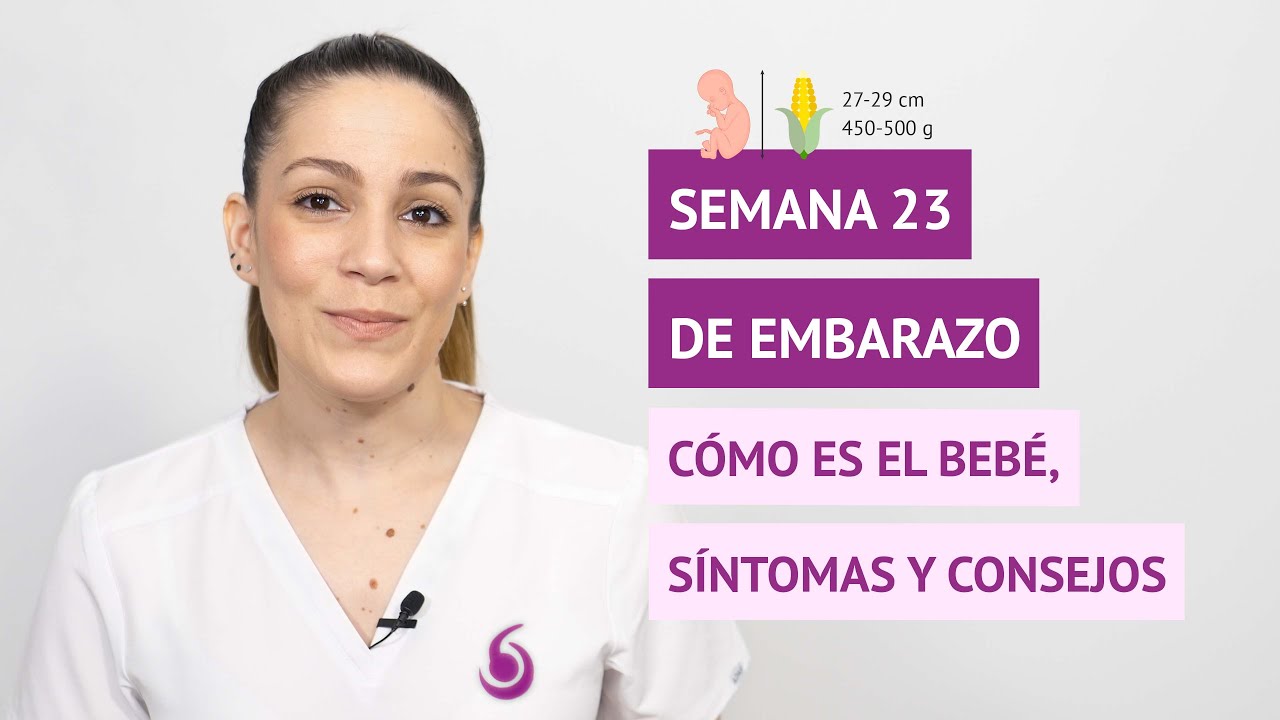 Semana 23 de embarazo: desarrollo del bebé y recomendaciones