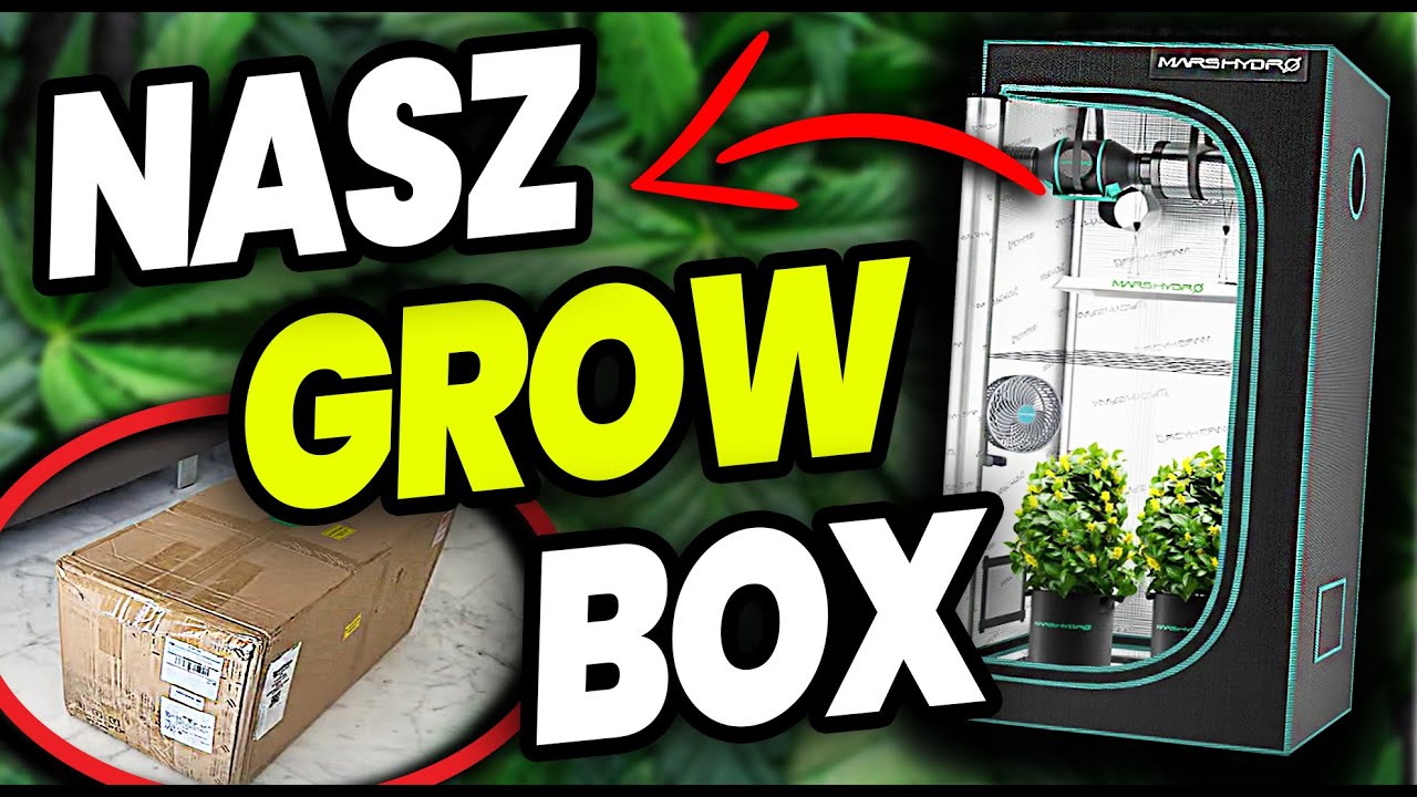 [VLOG #9] Gotowy GROWBOX z Amazona - czy warto? Mamy cały zestaw Mars Hydro : grow box, lampa, filtr