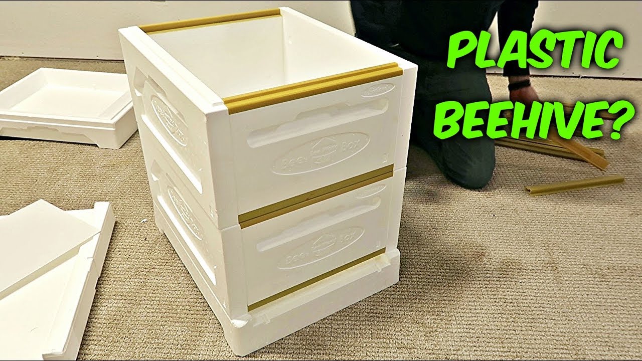 What Is Polystyrene Beehive?