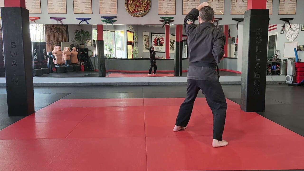 SASDA - White Belt Kata: Rear View