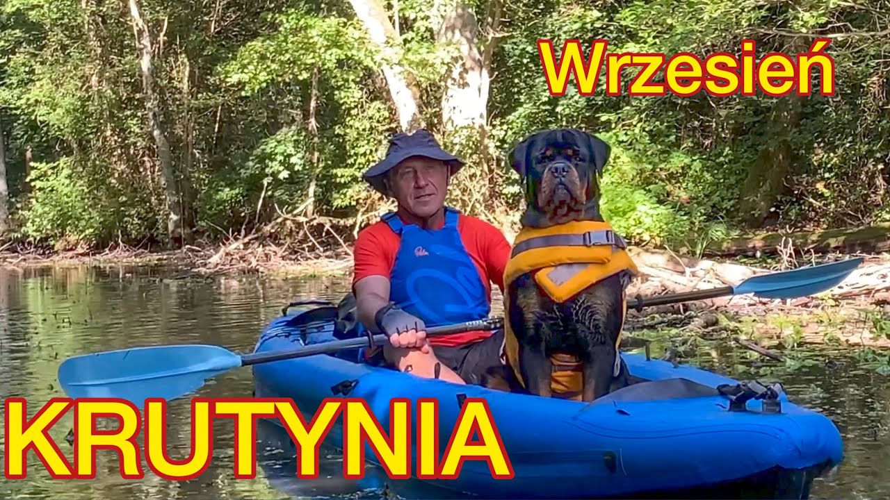 Kajakiem z psami we wrześniu KRUTYNIA