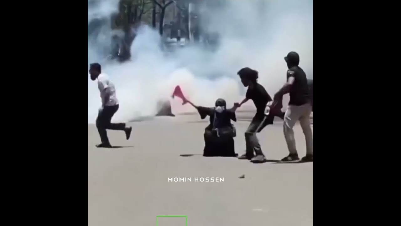 Brave girl in protest Independence day of Bangladesh 5 August 2024 / 5.8.24 / Bd independence 2.0