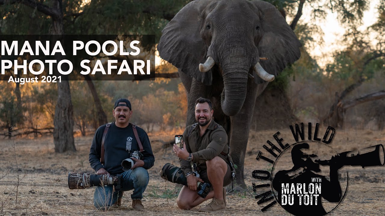 Сафари-отличное место от Mana Pools