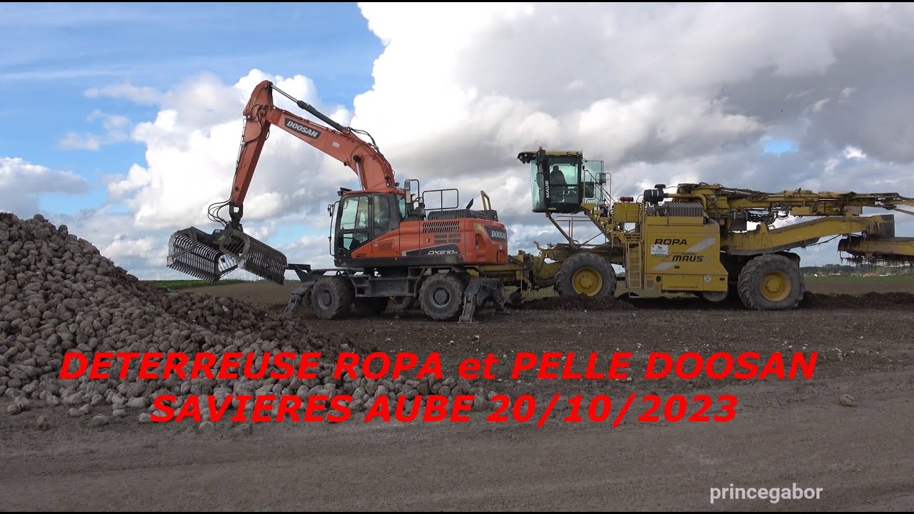 DETERREUSE BETTERAVES / SAVIERES /AUBE / 20 10 2023 /