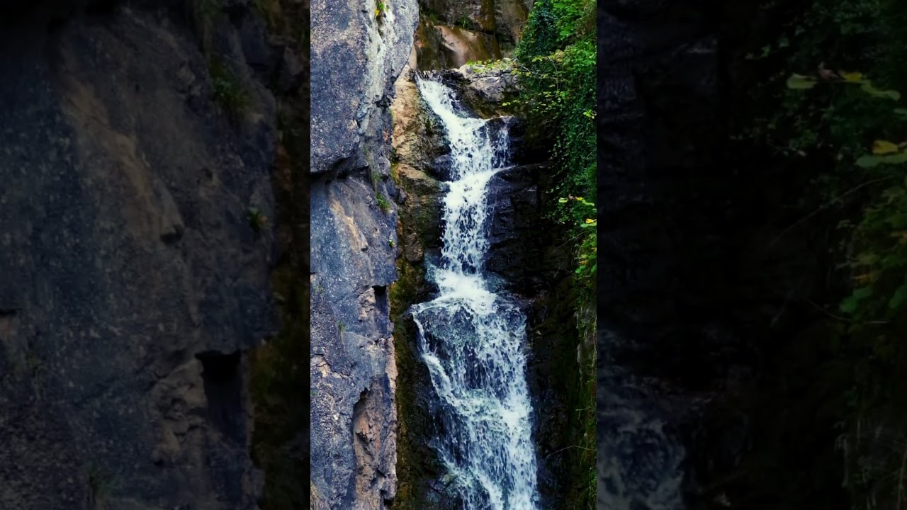 Sounds of Water and music with Beautiful Landscape #birds #relaxing #relax #music
