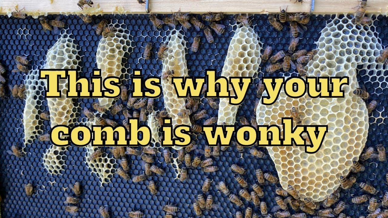 3 Tips in 3 Minutes to Avoid Wonky Comb