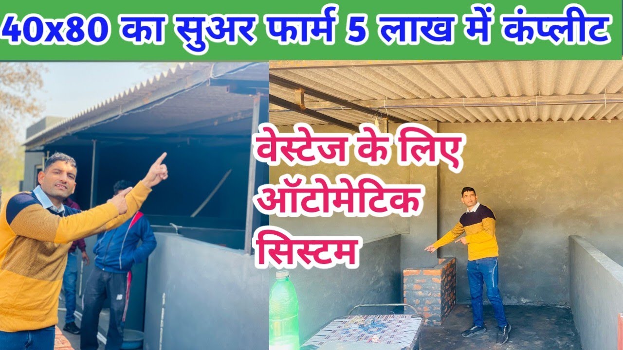 सुअर का फार्म कैसे बनाए 🐷🐖#how to make a new pig farm 🐷🐖
