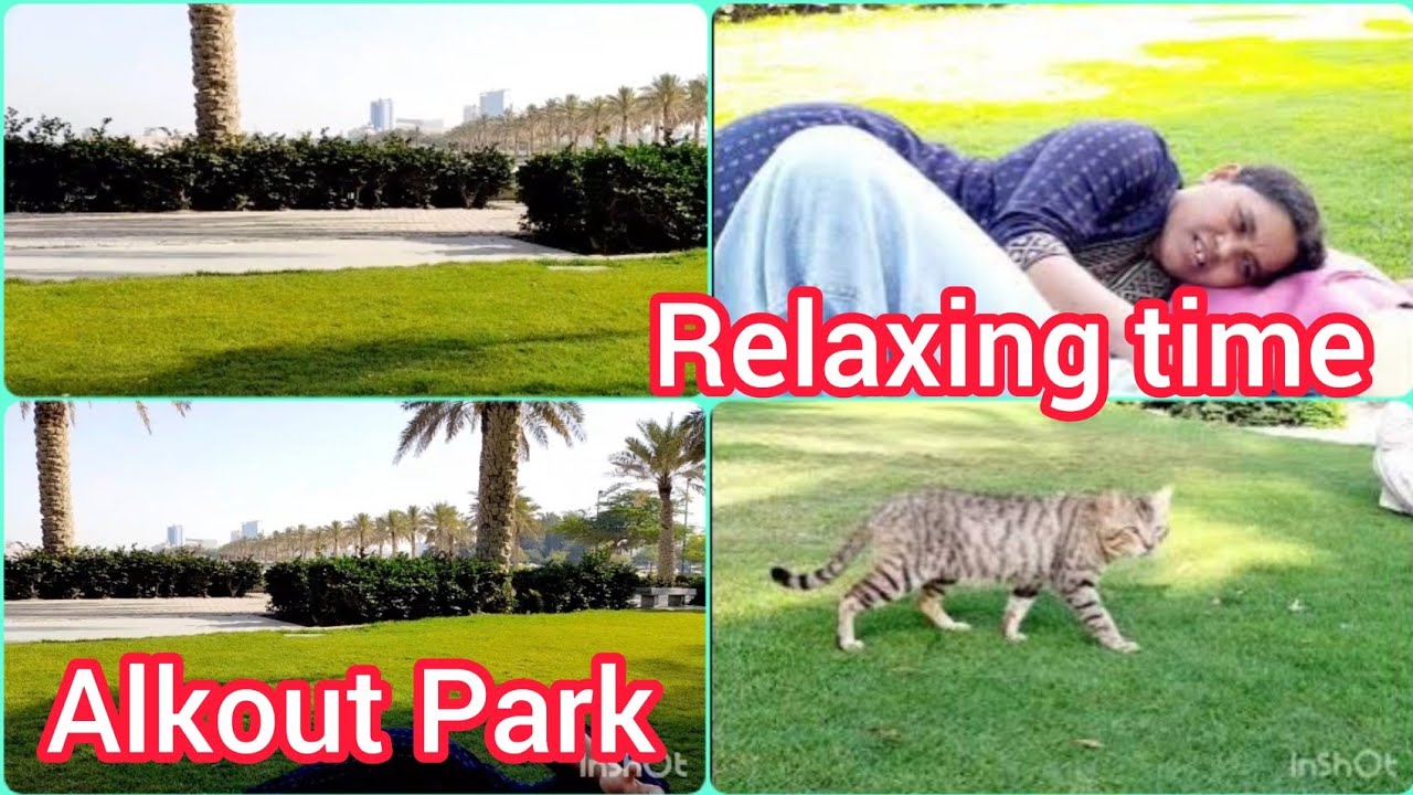 Spending time in Alkout Park / Day off