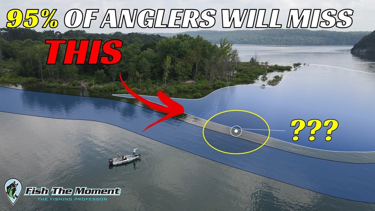Beat Tough Summer Fishing With This Sneaky Pattern | #Catch15