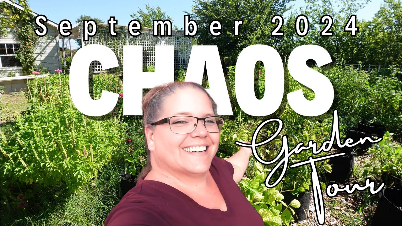 Chaos in Bloom: A September Garden Tour 2024