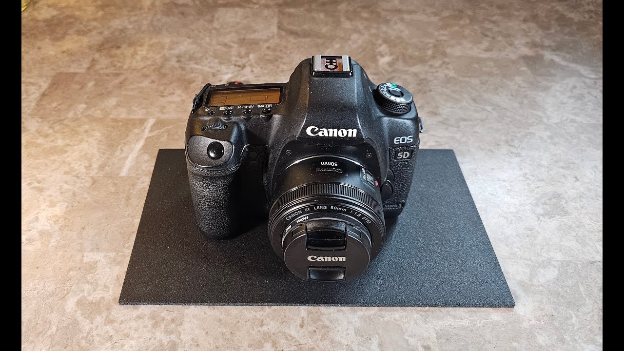 I recently purchased a 5D Mark II.  Best Camera for you to jump into photography as a hobby.