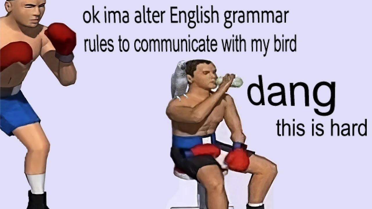 Grammar for Parrots?