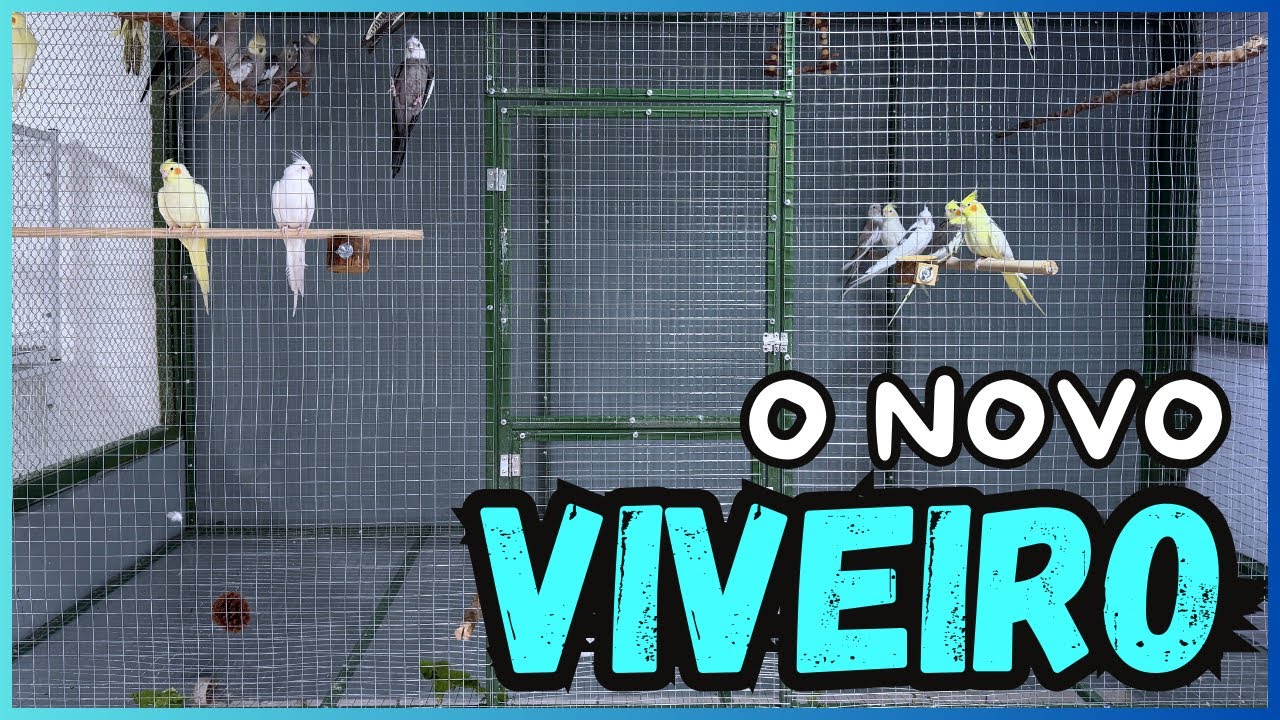 QUANTO CUSTA UM VIVEIRO DE MANUTENÇÃO PARA AS CALOPAITAS?