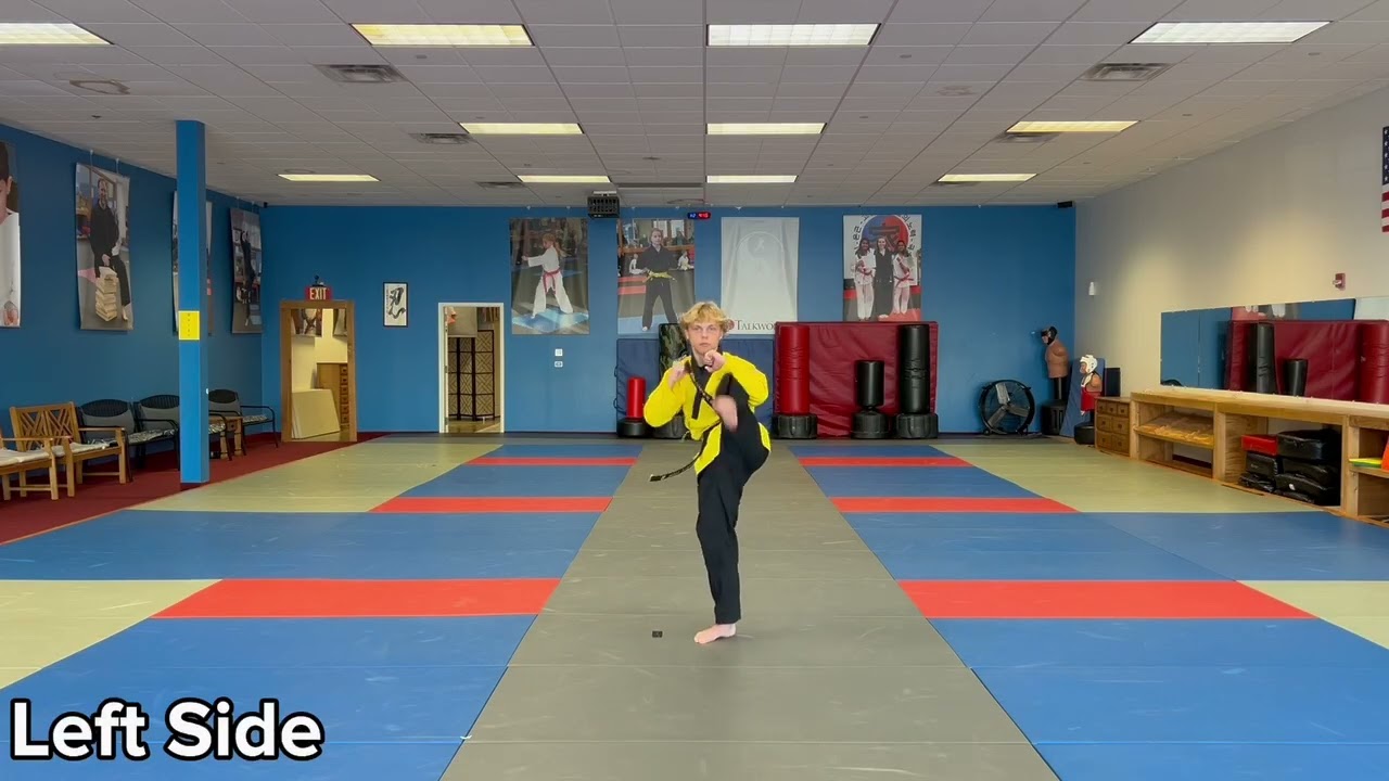 Purple Belt Sparring Set