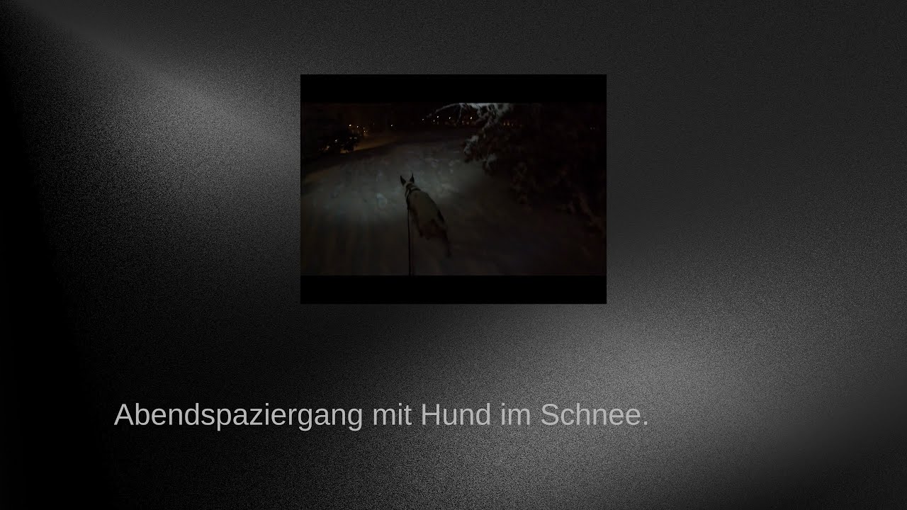 Abendspaziergang im Schnee mit Hund. 17 Minuten Hund und Schnee.