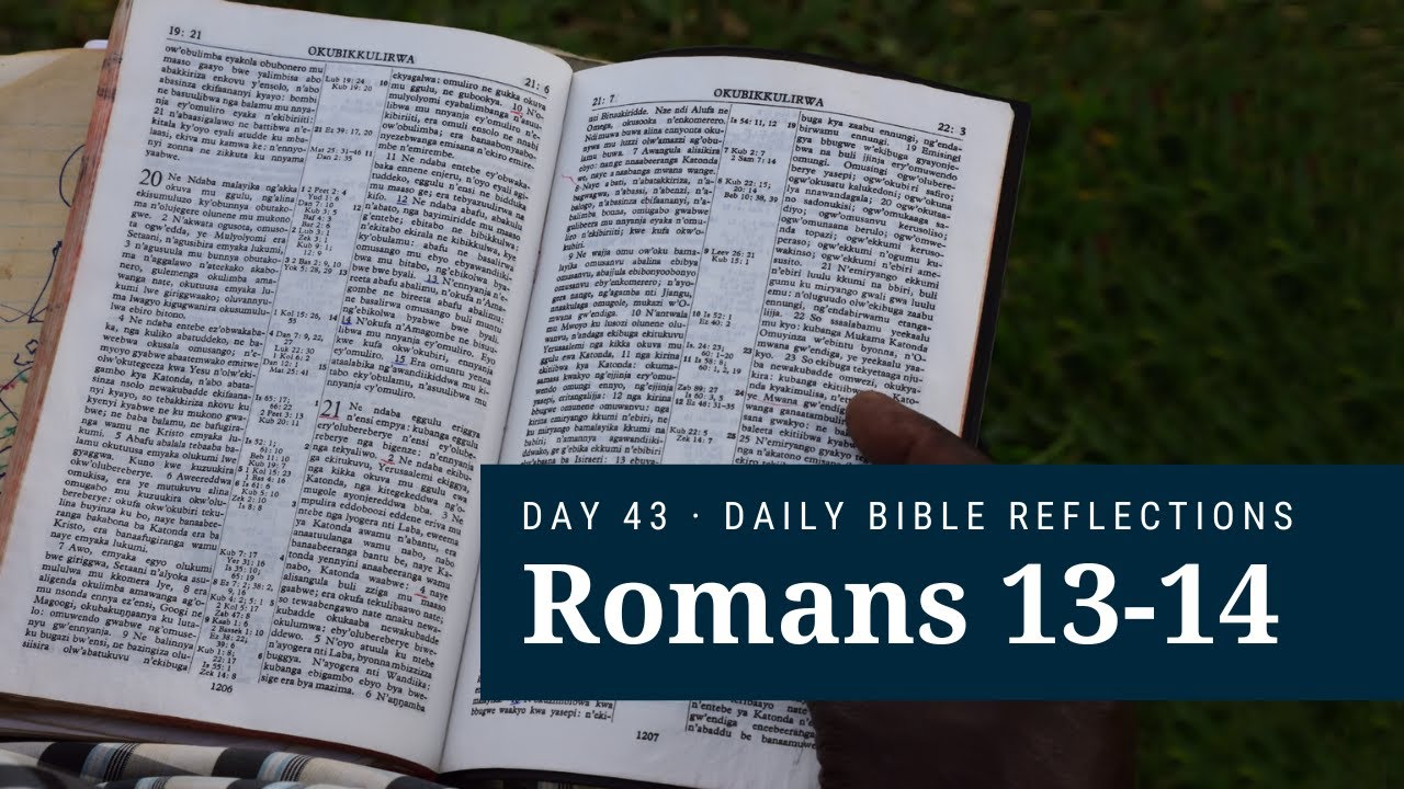 DAY 43 | Romans 13-14 | The Bible in A Year