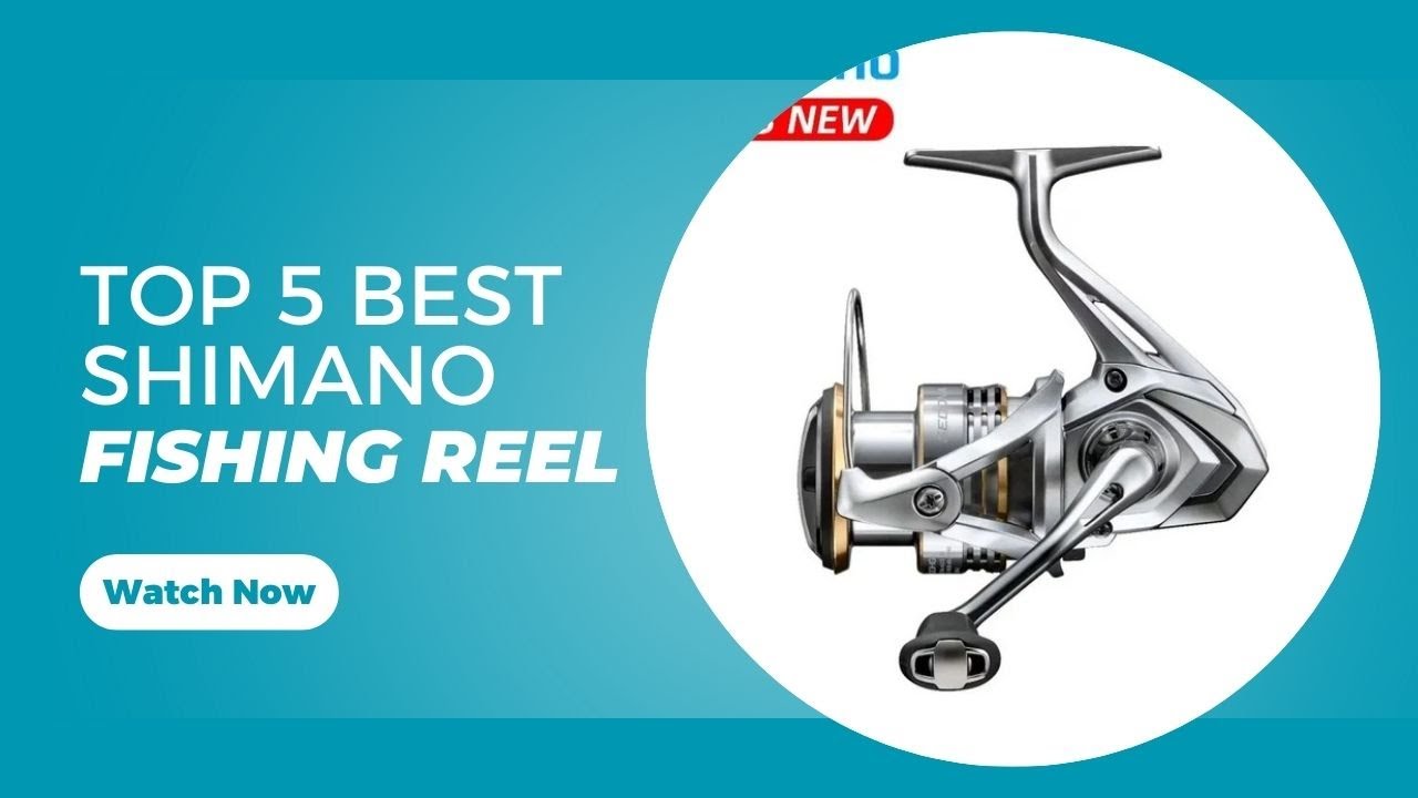 Top 5 Best Shimano Fishing Reel in 2025 on AliExpress