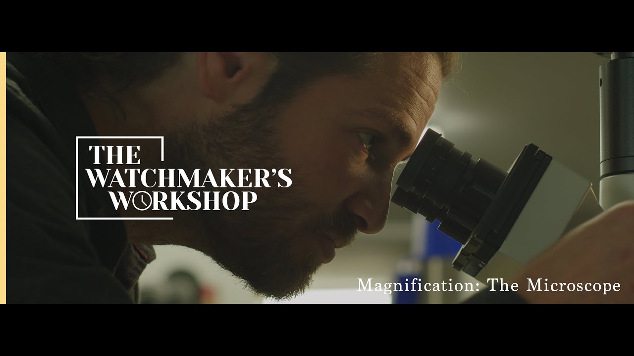 Magnification: The Microscope