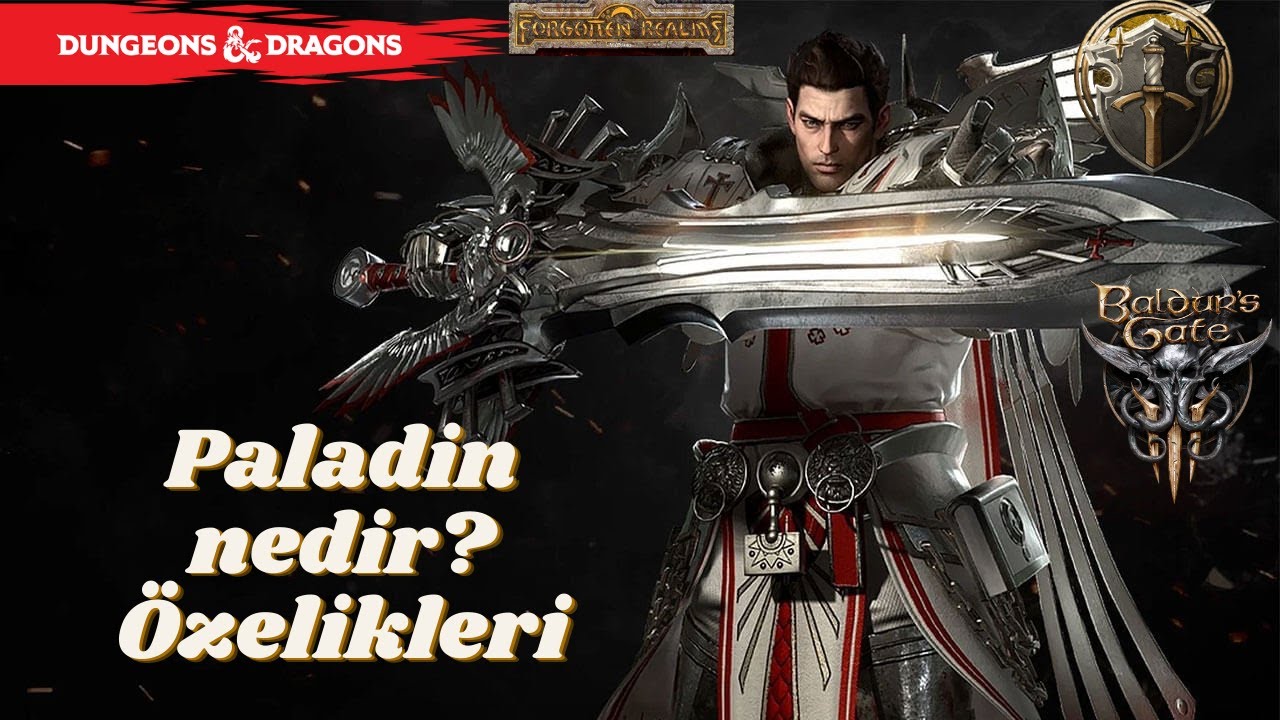 Paladin Nedir?Dnd5e | Nasıl oynanmalı Level 5 e kadar Özellikleri | Baldurs Gate 3 #dnd