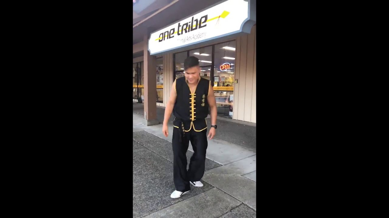 One Tribe Martial Arts Academy - Virtual Fight