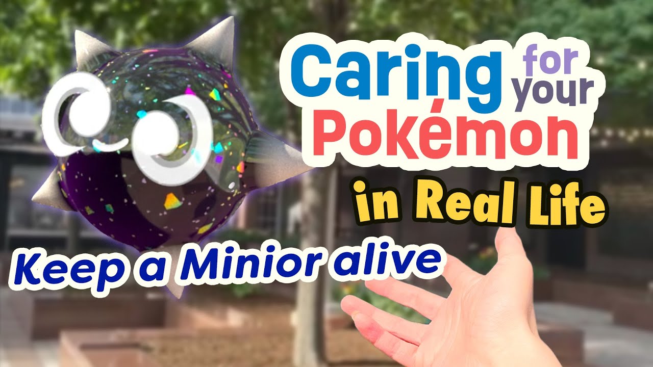 Caring for your Minior for first-time Trainers