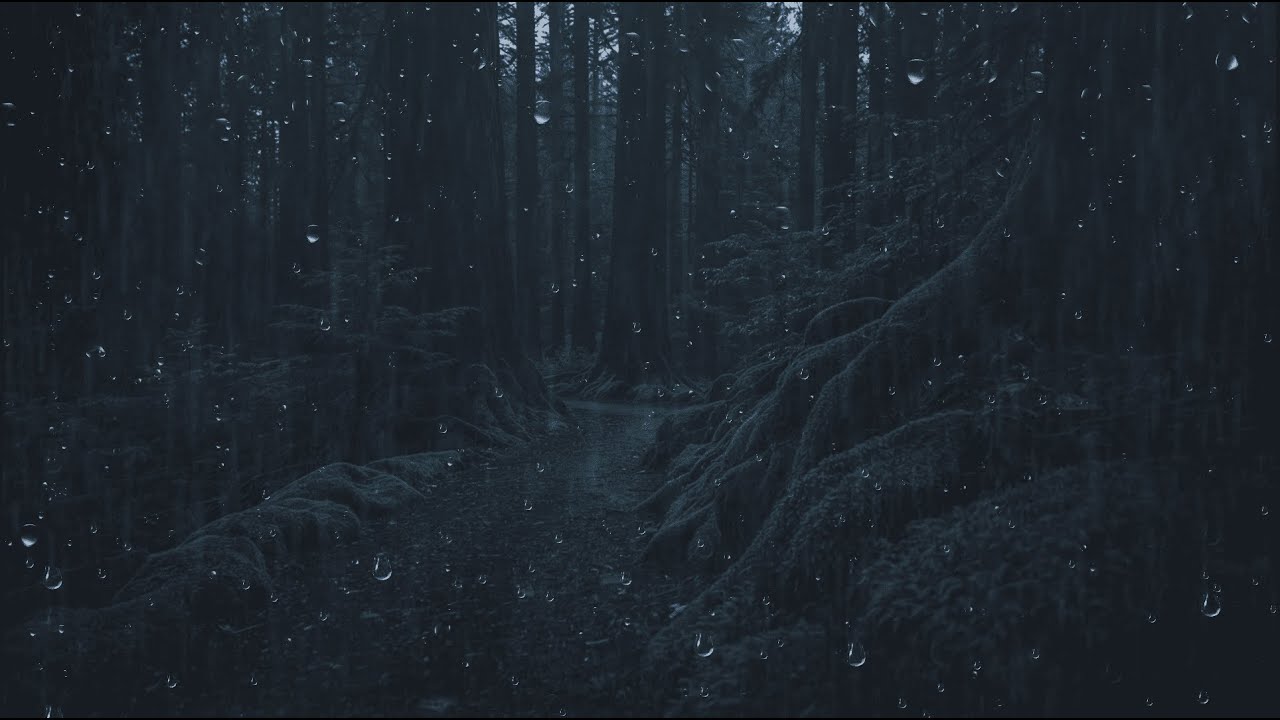 Rain Sounds for Sleeping and Insomnia | Heavy Rain and Thunder for Deep Sleep