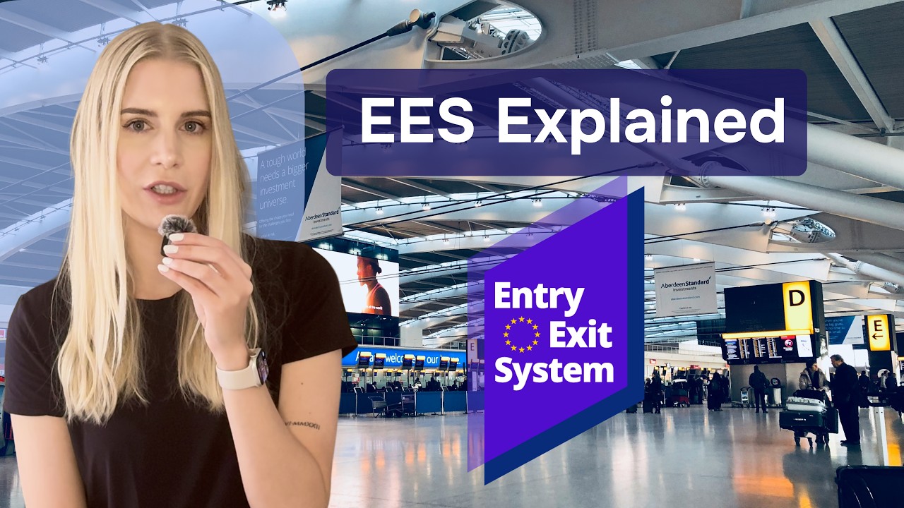 EES Explained: What the System is & How it Works