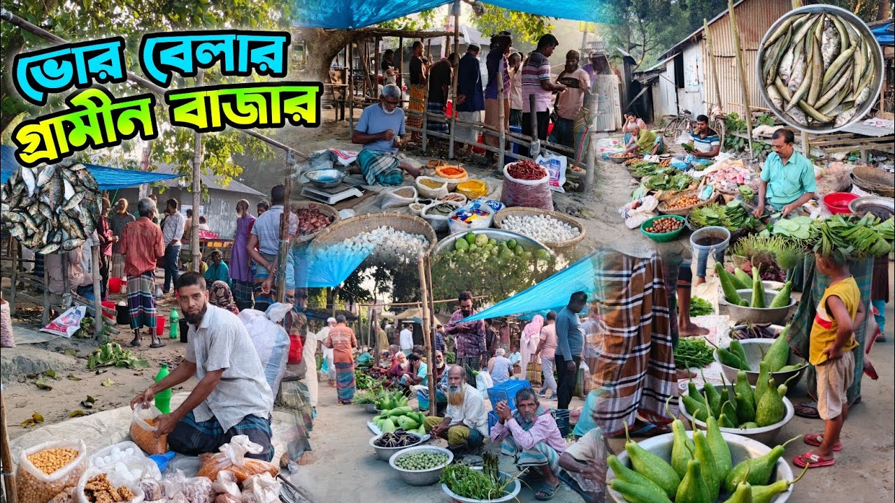 গ্রামের ভোর বেলার বাজার এত হাঁস-মুরগি সবজি ও দেশী মাছ | Village market bd | Rezaul's Dream Vlogs
