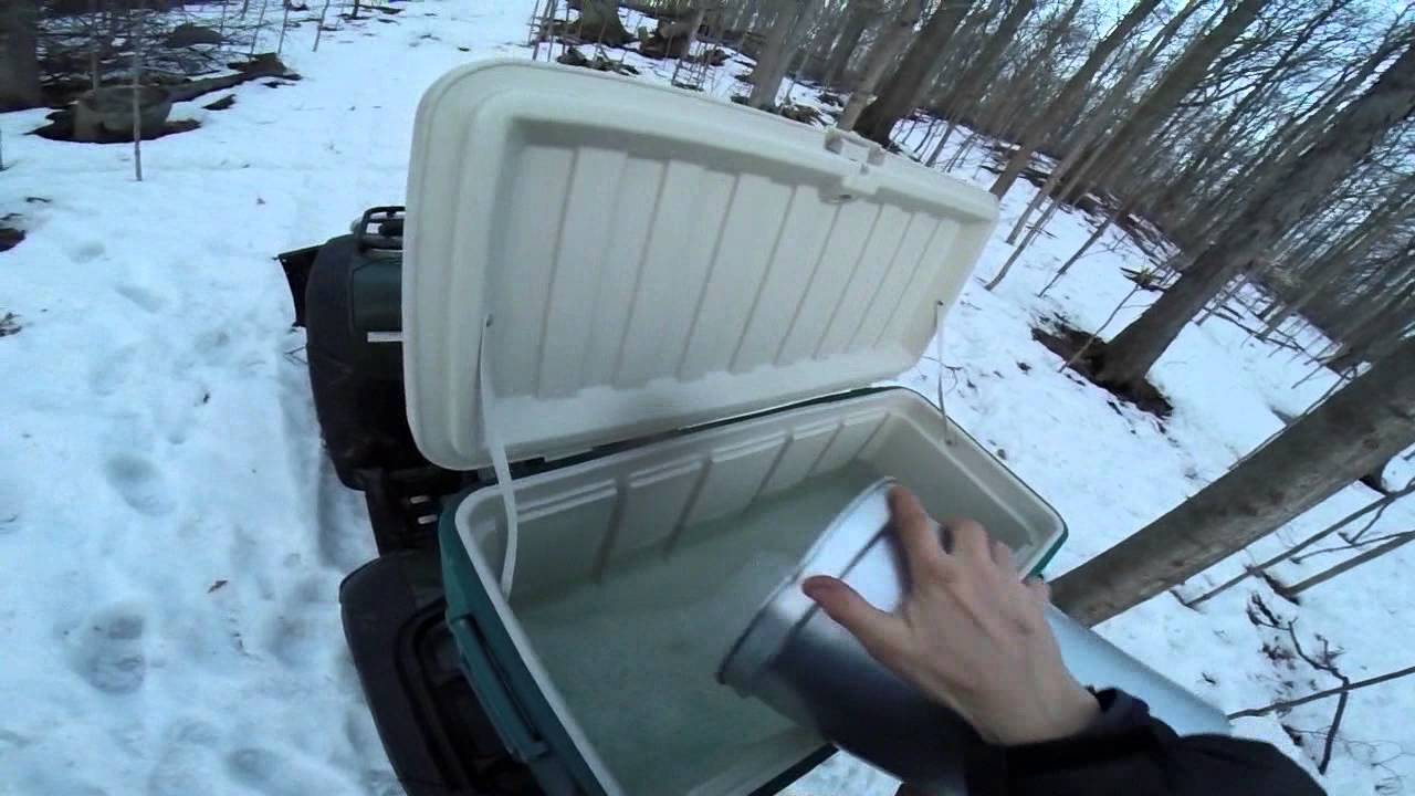 Collecting Maple Sugar Sap at High Speed!