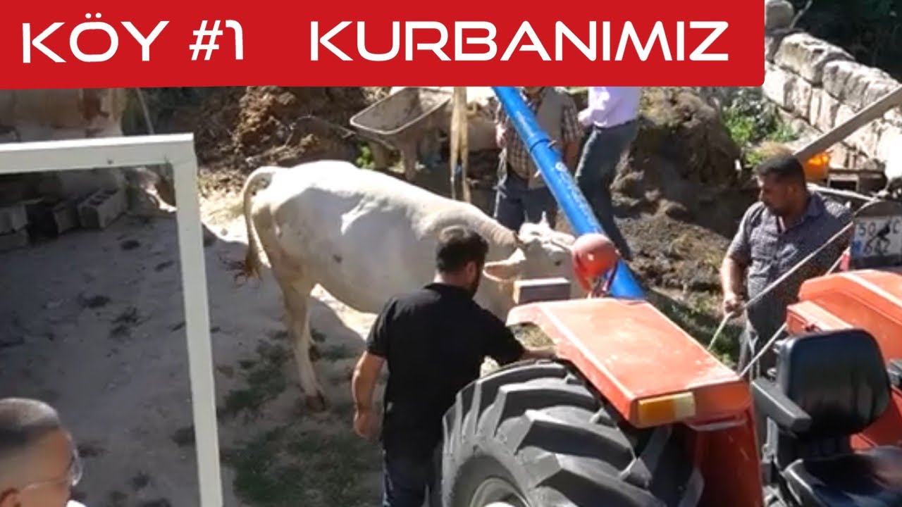 KÖY #1 | Kurban Bayramı | Organik Bahçe | Hakan & Burcu