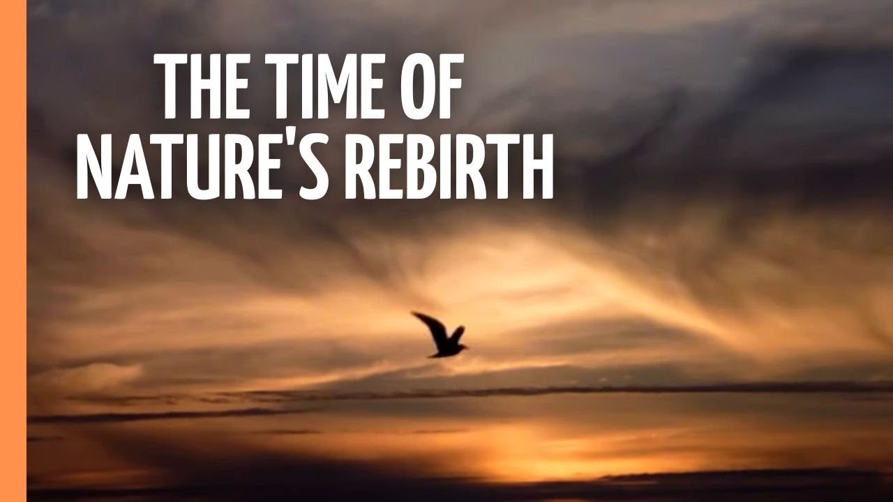 Spring - The time of nature's rebirth | Full Documentary
