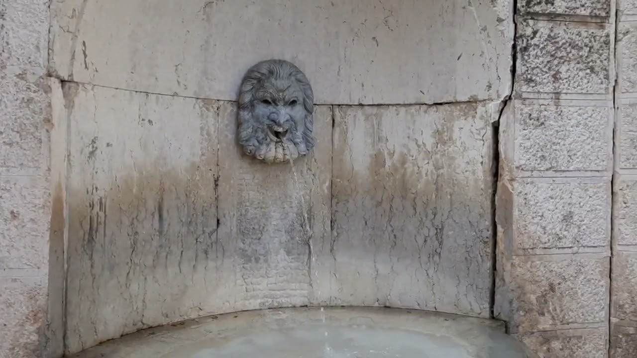 Vlog 5  one day trip from Verona to spiazzi #verona #italy #spiazzi #foody_travellerr_