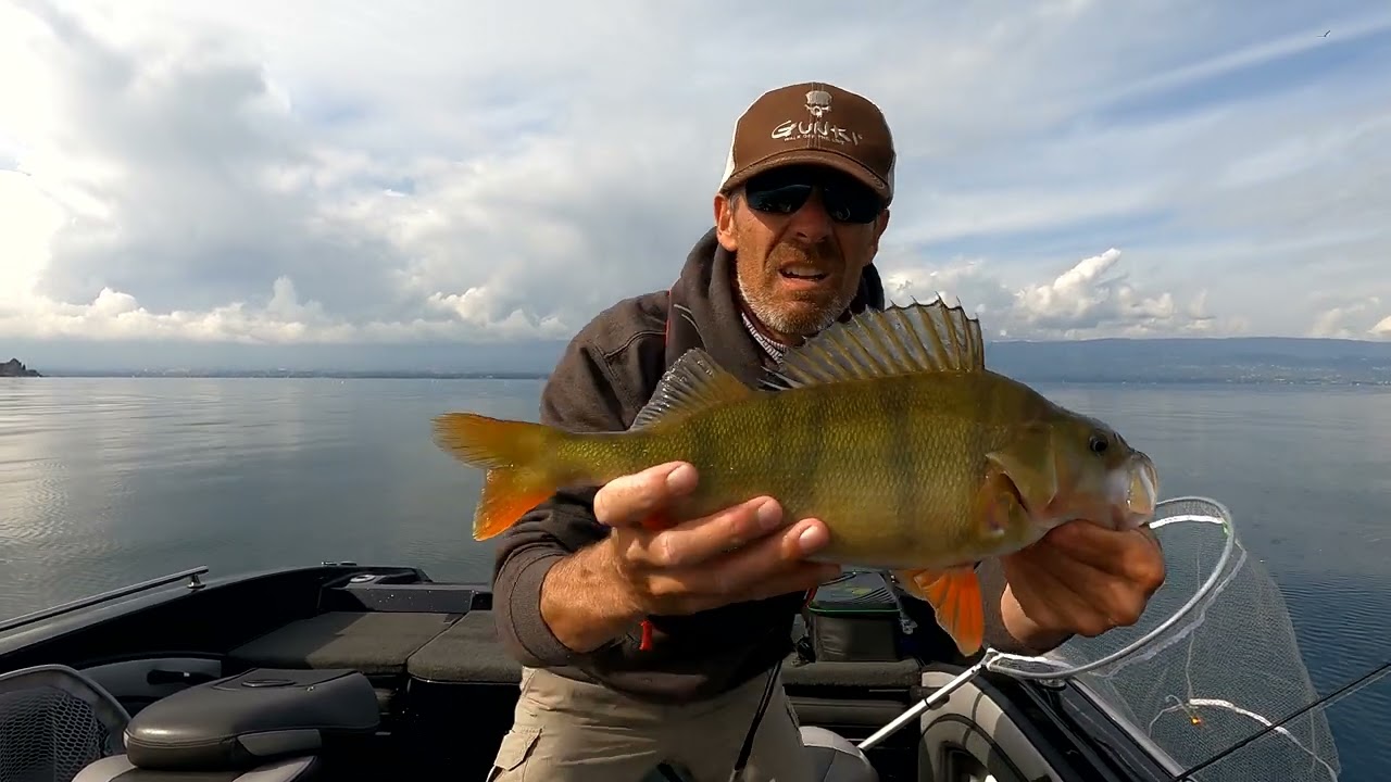 Pêche de la perche aux leurres sur le lac Léman - Ludovic Briet, Moniteur Guide de pêche