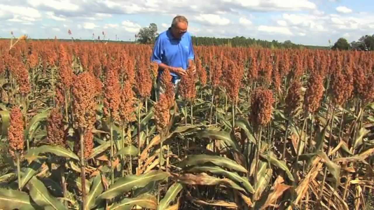 2012 Sunbelt Georgia Farmer Of The Year